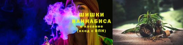 стафф Протвино